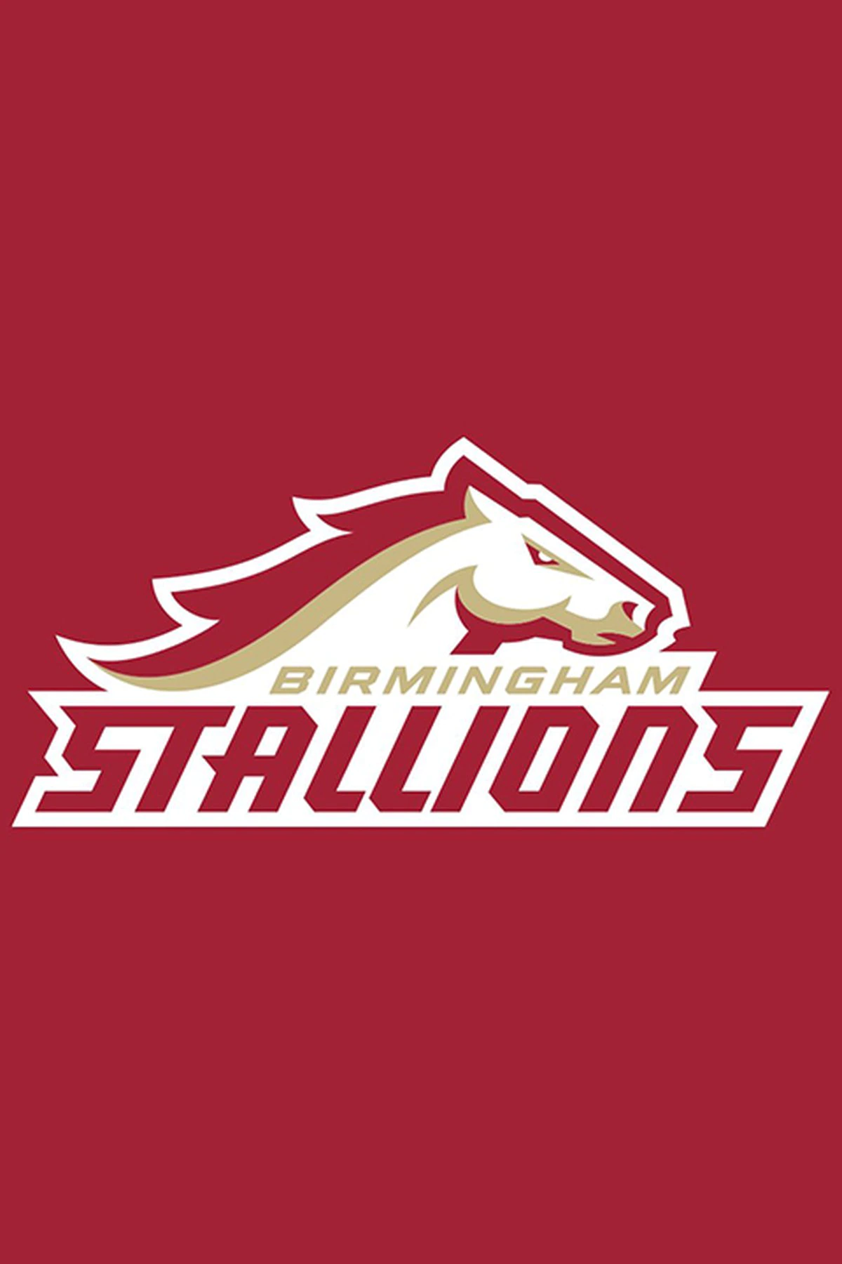 USFL 2022 – Birmingham Stallions