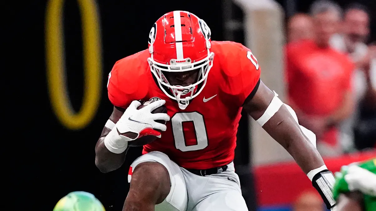 NFL Draft news: Georgia football's Darnell Washington posts