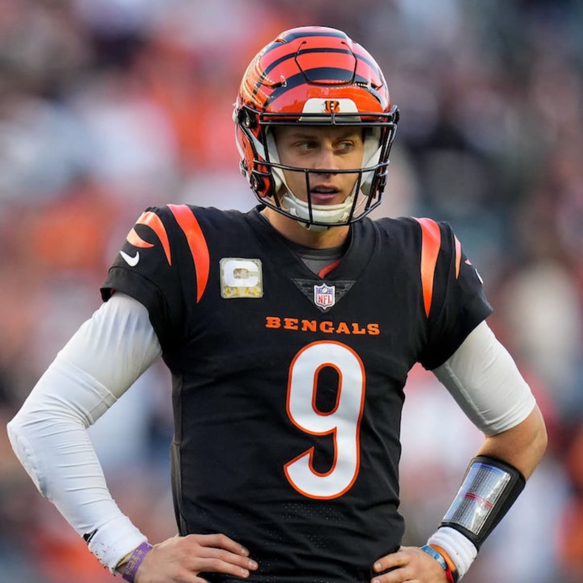 How the Cincinnati Bengals Keep Clawing Their Way Back to the Top